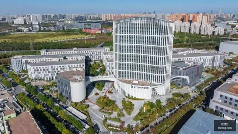 尤文与塔利亚菲科个人合同敲定，静候卡巴尔转会尘埃落定